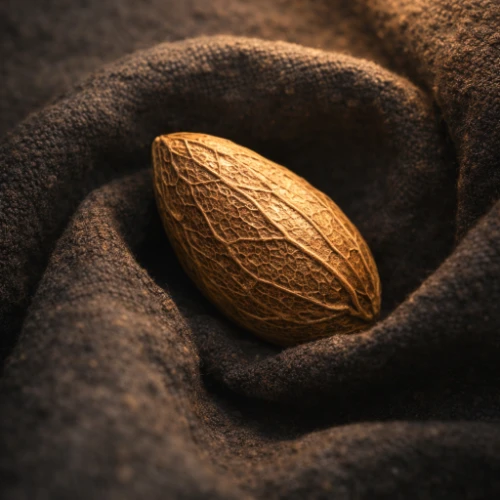 Le tarif d'une séance d'hypnose tient compte de l'expertise et des spécialisations du praticien. 